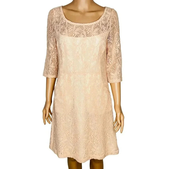 Maeve Anthropologie Pink Lefkara Lace Dress Size Medium New without tags - Picture 2 of 10